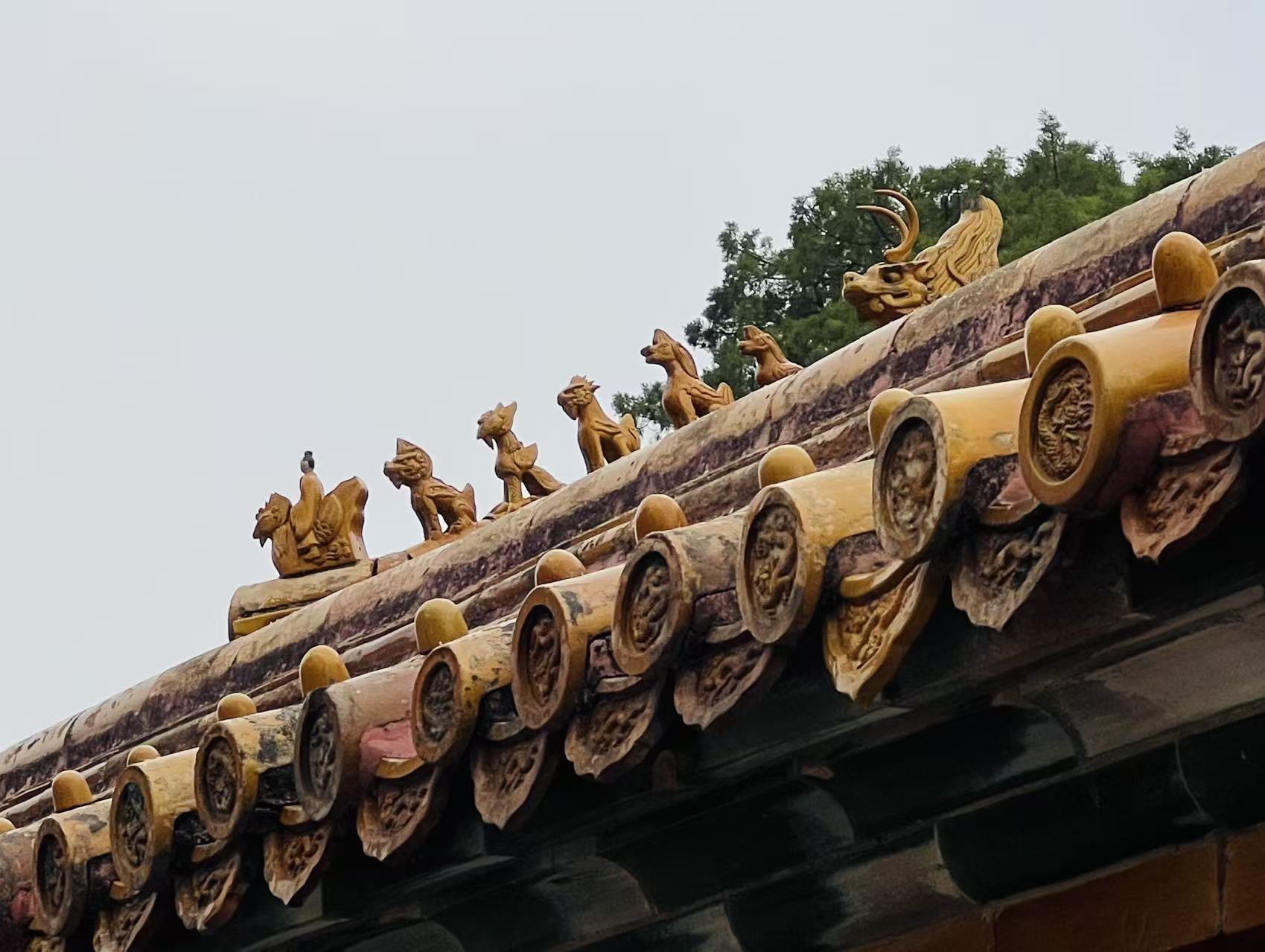 Travel 3